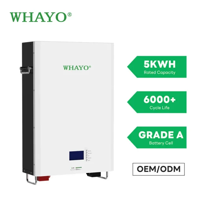 48V 51.2V 100Ah 200Ah 5kWh 10kWh Wall Mounted LiFePO4 Battery - Whayo ...